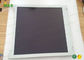 NL8060AC26-26 NLT iPad LCD Screen Replacement LCM 800×600 190 Normally White