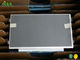 B101AW02 V0 10.1 inch  Industrial AUO LCD Panel for 60Hz Outline 243×146.5×3.6 mm
