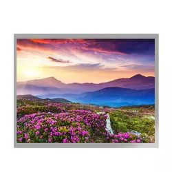 MVA 10.4 Inch TFT LCD Display G104X1-L04 LVDS Interface TFT LCD Module
