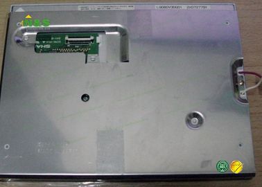 8.0 Inch LQ080V3DG01 Sharp LCD Panel  Normally White with 162.24×121.68 mm